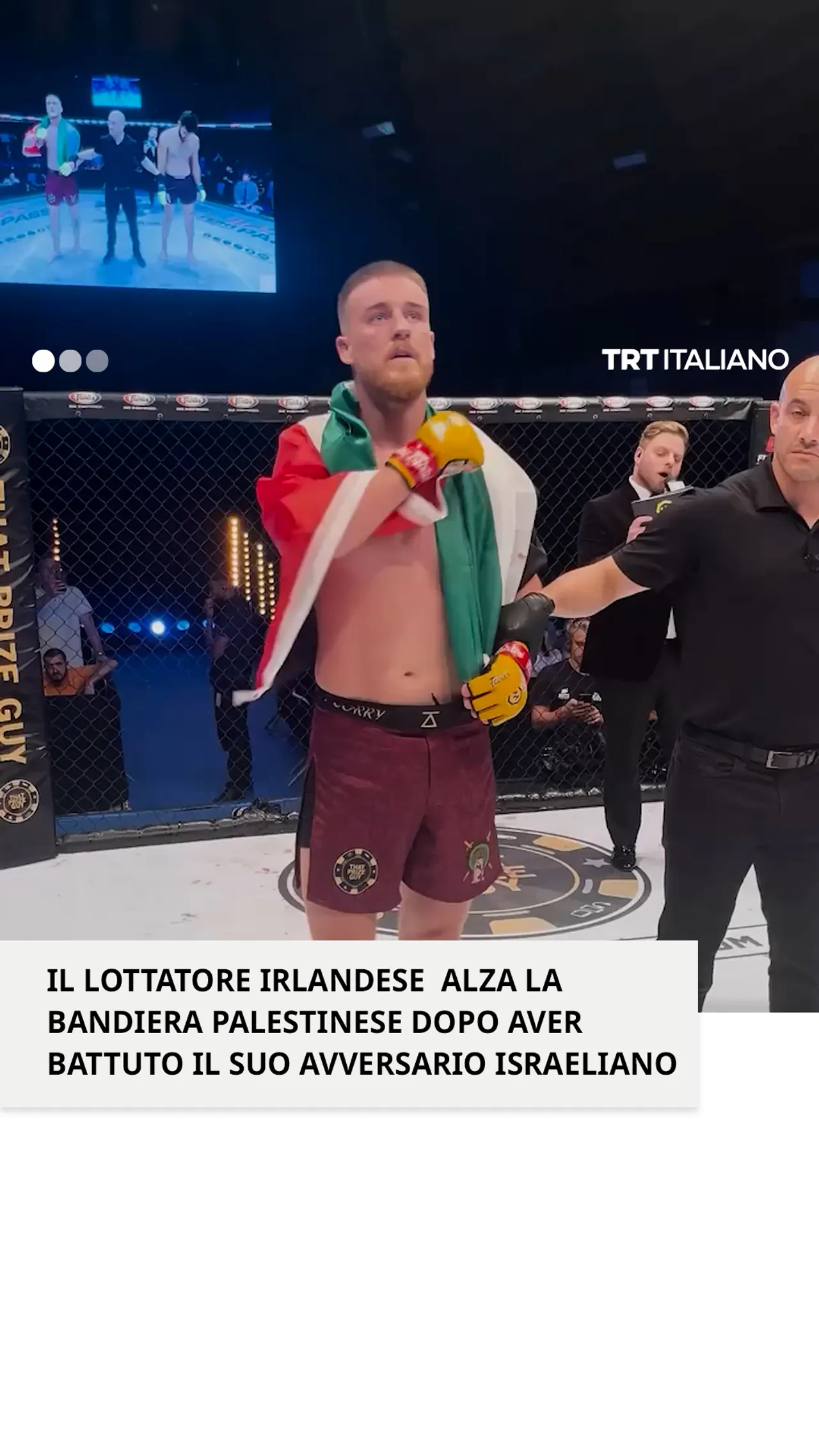 Lottatore irlandese sconfigge l’avversario israeliano e celebra con bandiera palesitina