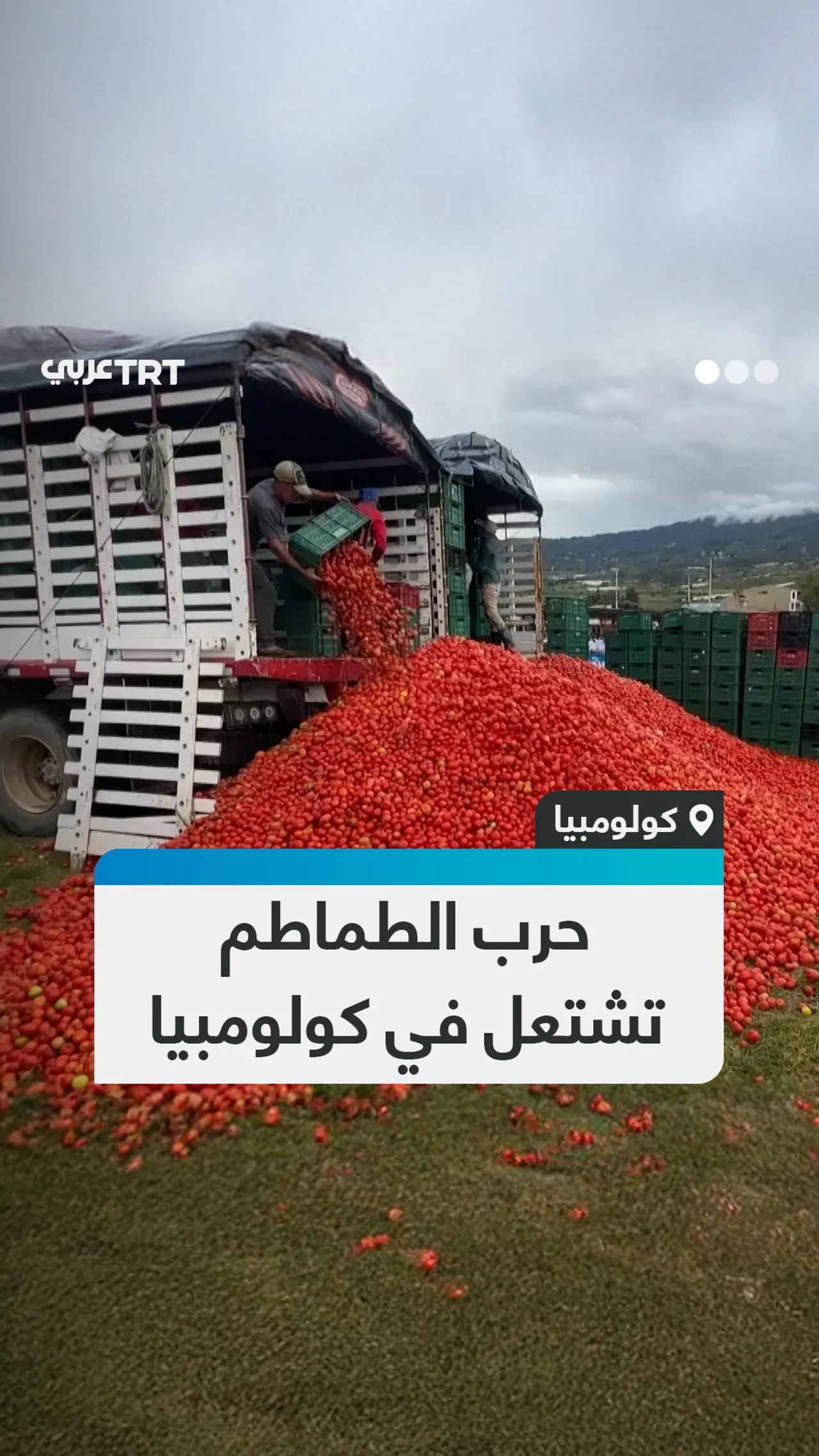 حرب الطماطم تشتعل في كولومبيا
