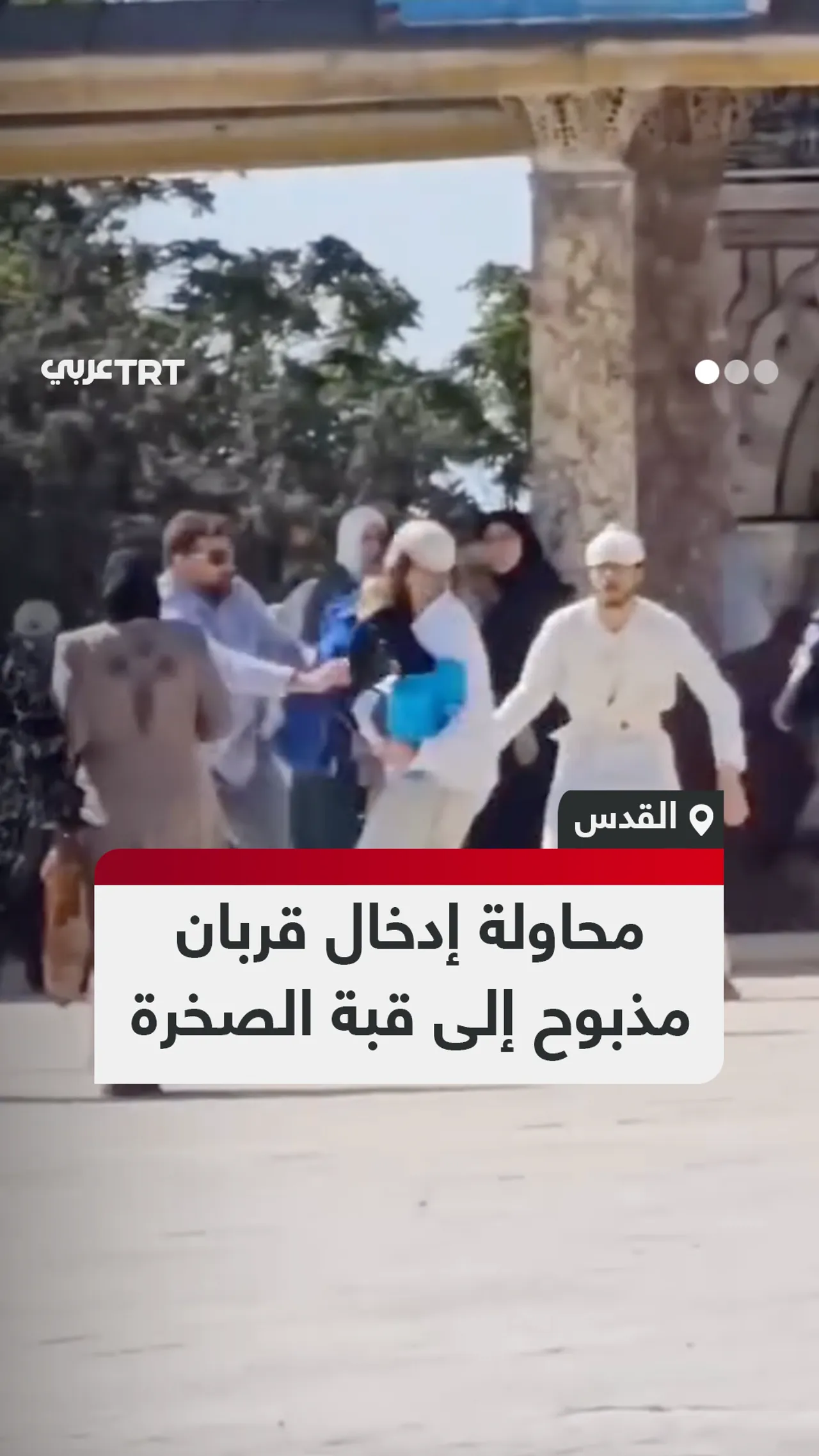 محاولة إدخال قربان مذبوح إلى قبة الصخرة