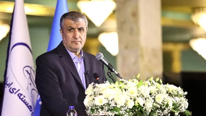 رئیس سازمان انرژی اتمی ایران: هیچ جایگزینی برای غنی‌سازی وجود ندارد