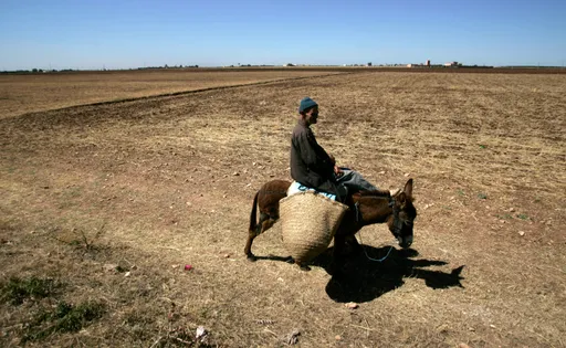 Morocco confirms 2024 its 'hottest year' on record