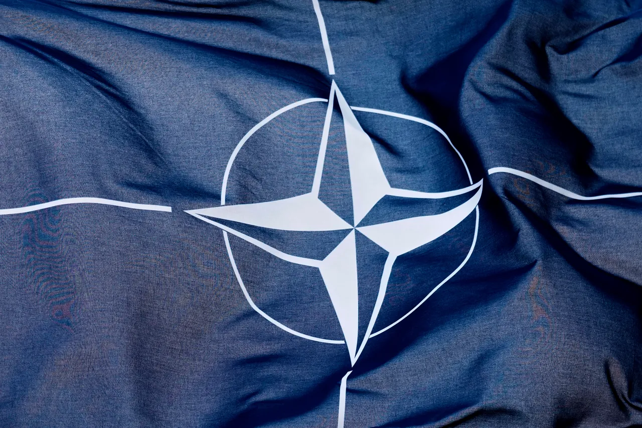 Die NATO am Wendepunkt