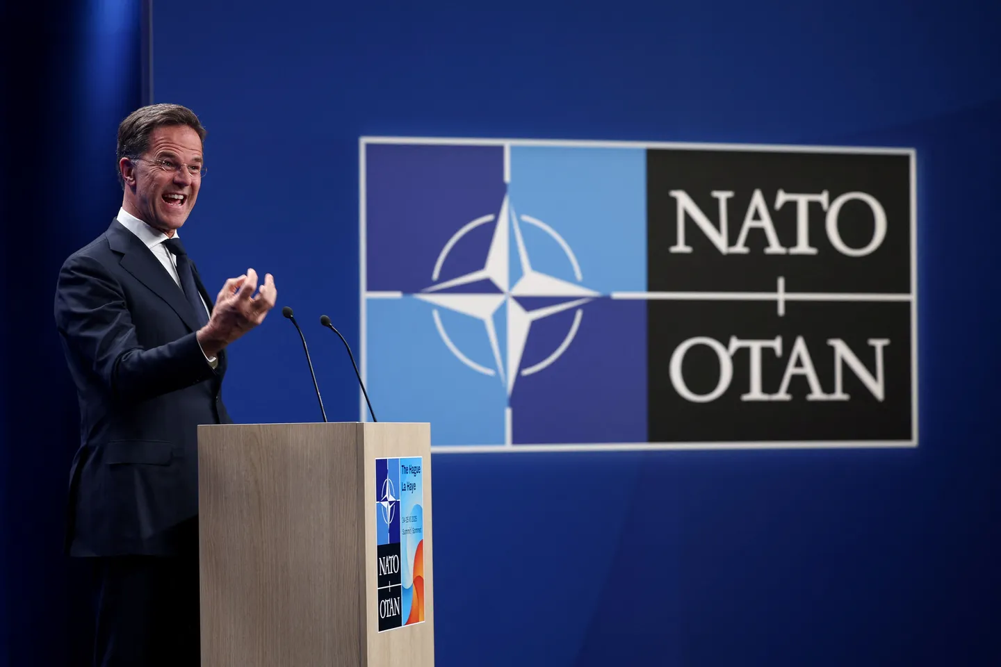 Саммит НАТО станет кошмаром для Украины?