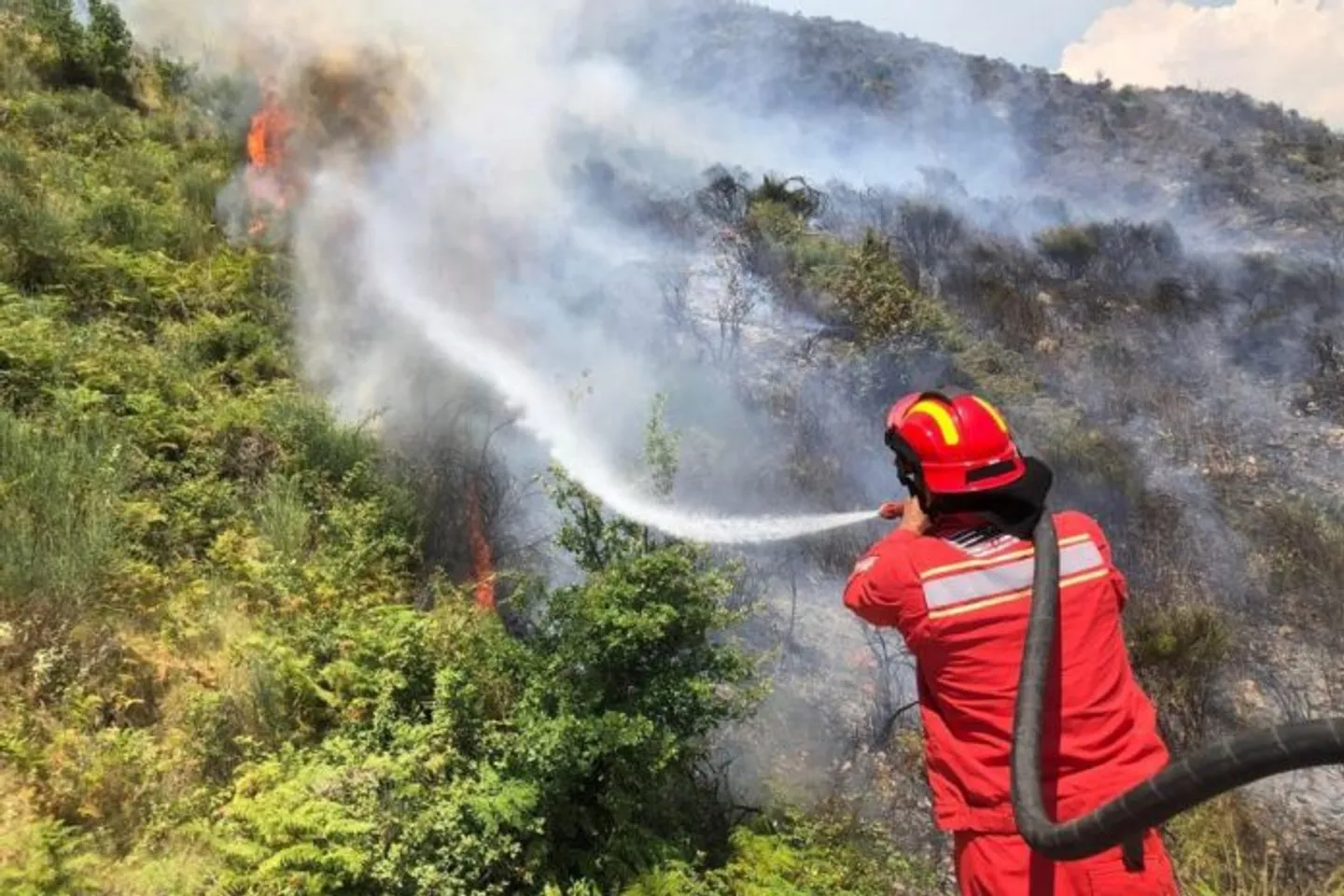 Shuhen 17 vatra zjarri në Shqipëri, tre vatra mbeten ende aktive