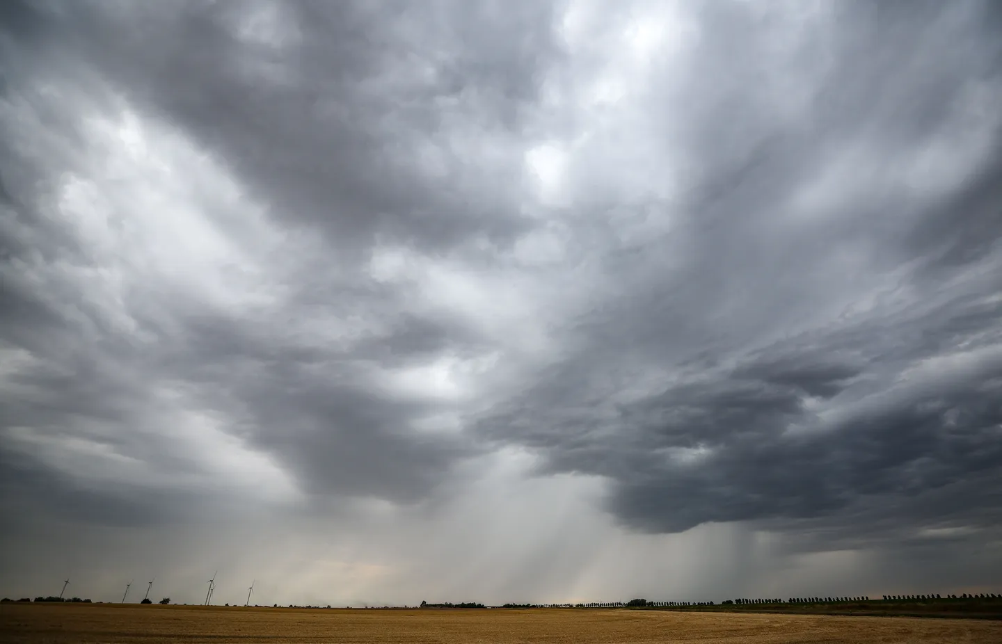 Feuerwehr: Ein Todesopfer und drei Schwerverletzte bei Unwetter in Berlin