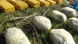 کشف و خنثی‌سازی یک محموله قاچاق که قرار بود به تاجیکستان برود