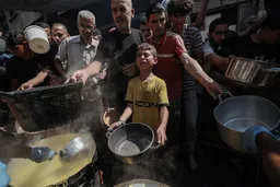 L'UE va user de son influence sur Israël pour obtenir un cessez-le-feu à Gaza, déclare le chancelier