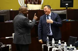 South Africa coalition tensions soar after deputy minister sacked over US trip