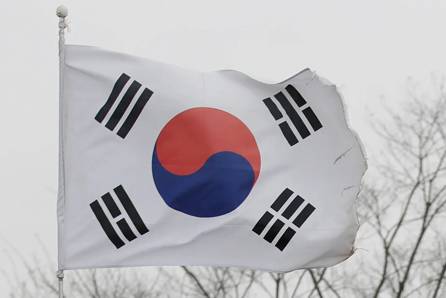 韓国、北朝鮮への海上輸送を試みた米国人6人を拘束