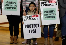 Trump ends deportation protection for Haitians, leaving around 500,000 at risk