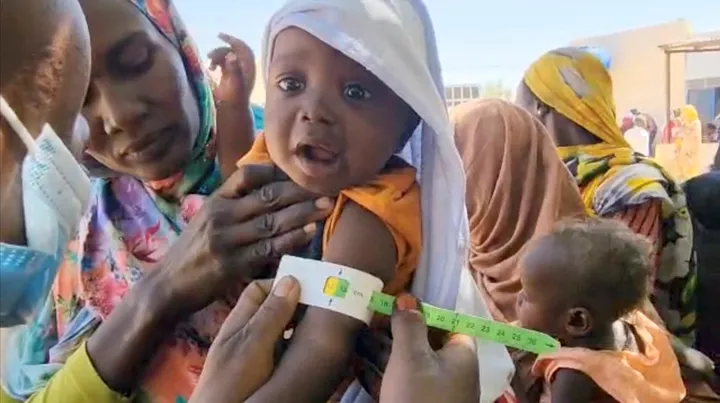 239 children dead in El Fasher as RSF siege starves Sudan's Darfur region