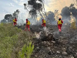 Shqipëri, në 24 orë u shuan 57 vatra zjarri