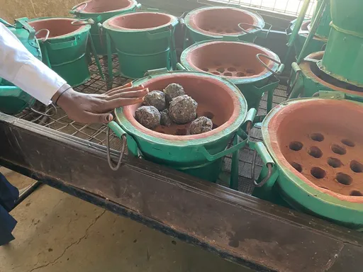 À l'intérieur de Kakuma : Comment le camp de réfugiés du Kenya fait la promotion de l'énergie propre