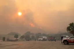 The many little mistakes causing wildfires across the globe