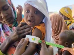 239 crianças morrem em El Fasher enquanto o cerco do RSF mata de fome a região sudanesa de Darfur