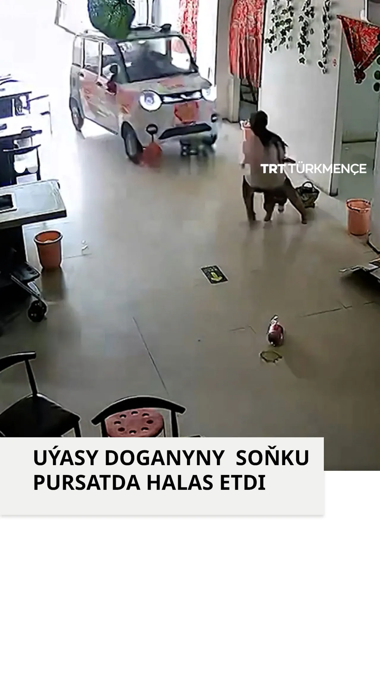UÝASY DOGANYNY SOŇKY PURSATDA HALAS ETDI