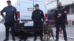 Morocco arrests suspected mastermind of French crypto kidnappings