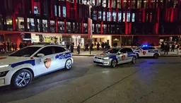 Ndeshja Shqipëri-Serbi, Polica e Shtetit publikon masat