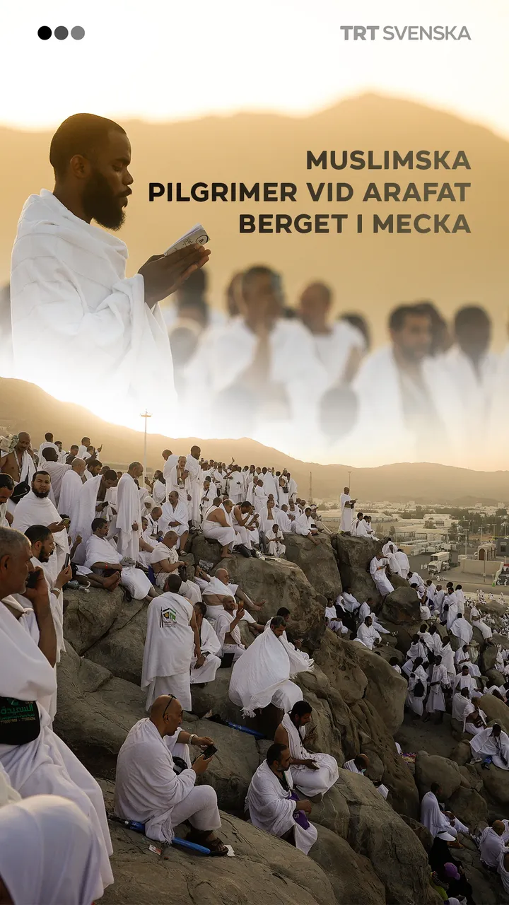 Muslimska pilgrimer vid Arafat berget i Mecka