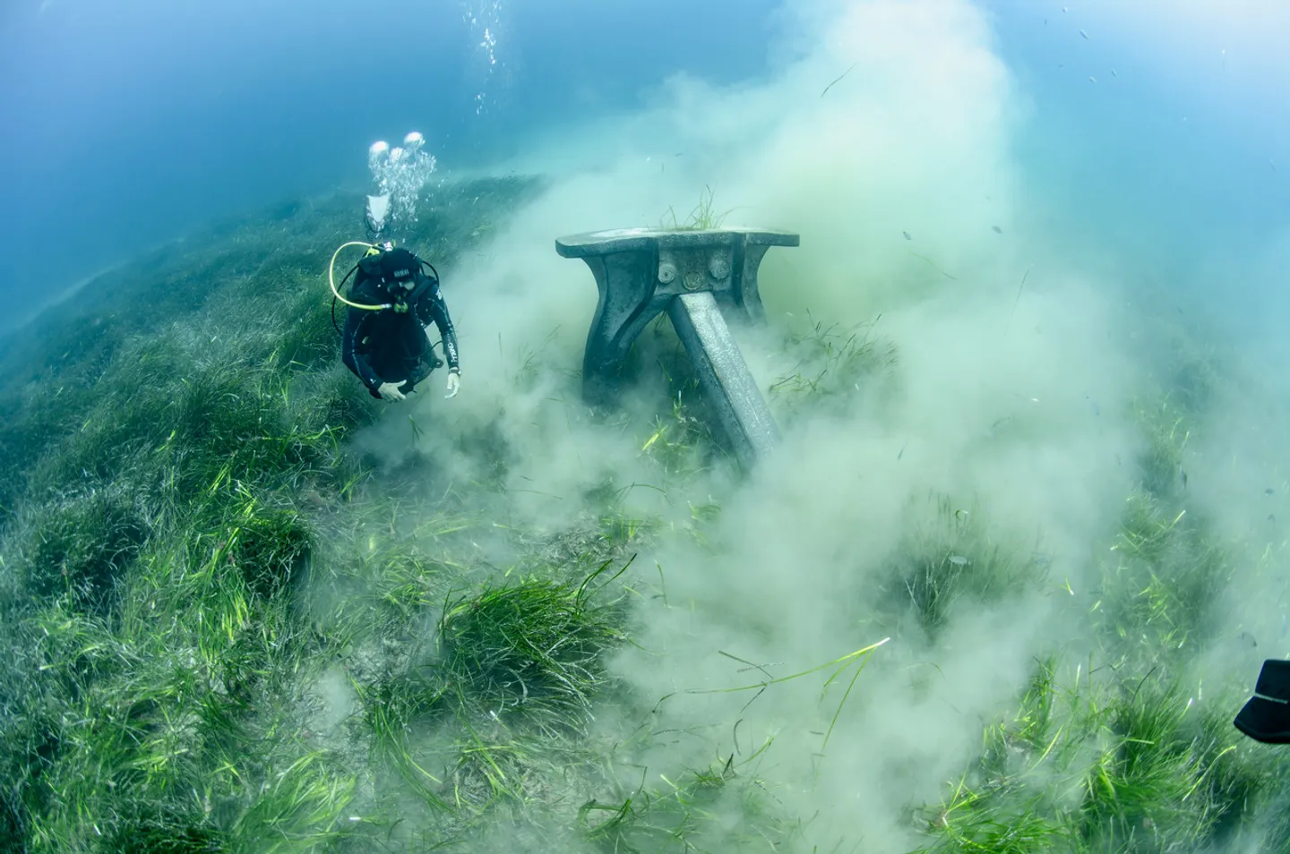 WWF: Hitno zaštititi livade morske cvjetnice u Sredozemlju od šteta sidrenjem