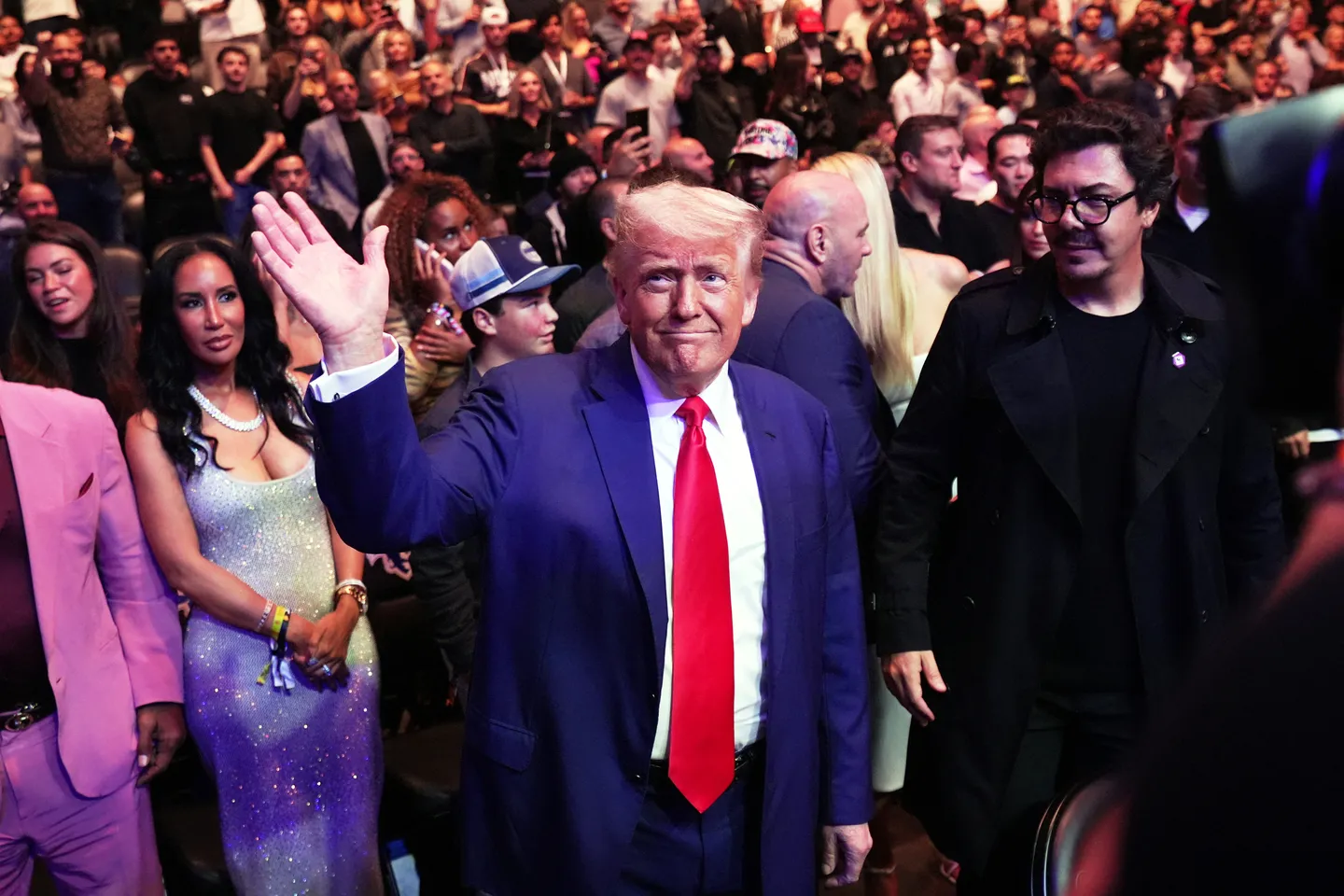 Трамп проведет турнир UFC в Белом доме