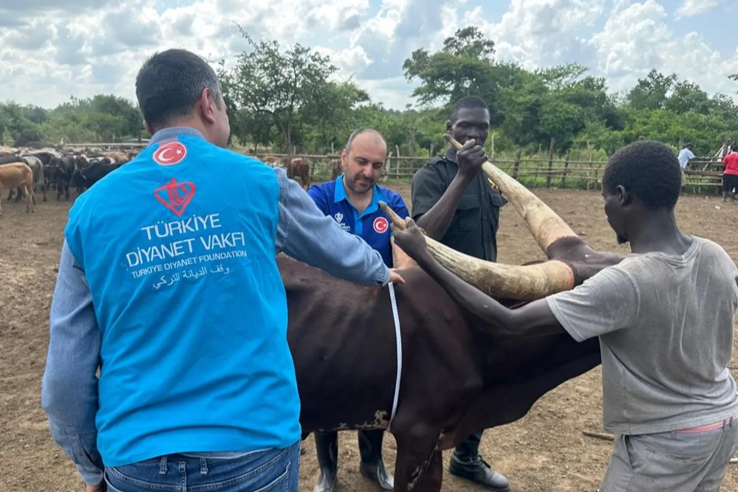 Generosity without borders: Turkish charities support Ugandans on Eid al-Adha
