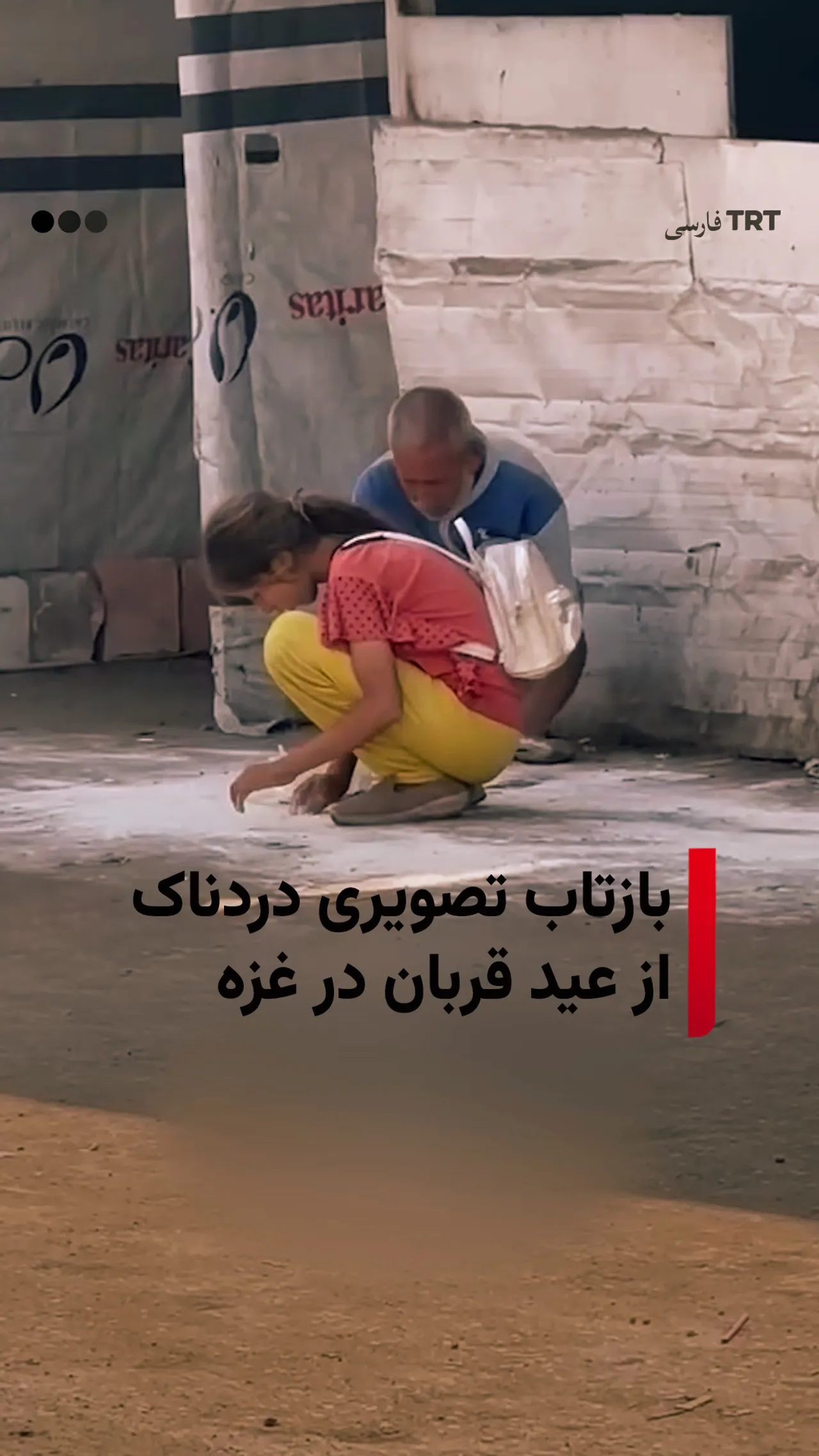 جمعآوری آرد از زمین توسط دختربچه فلسطینی در ایام عید قربان