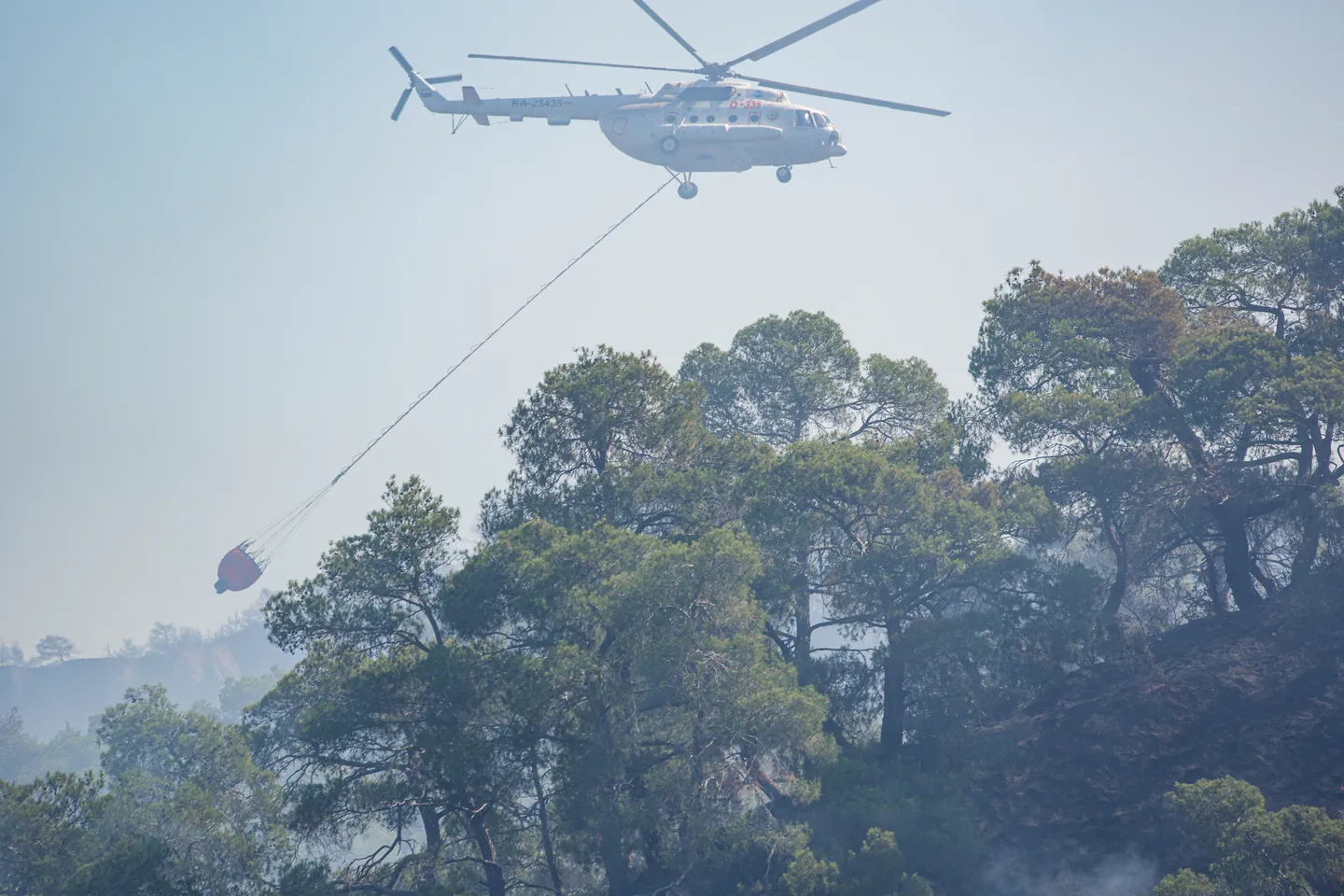 Türkiye mobilises massive response to tackle surging forest fires