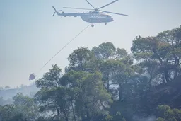 Türkiye mobilises massive response to tackle surging forest fires