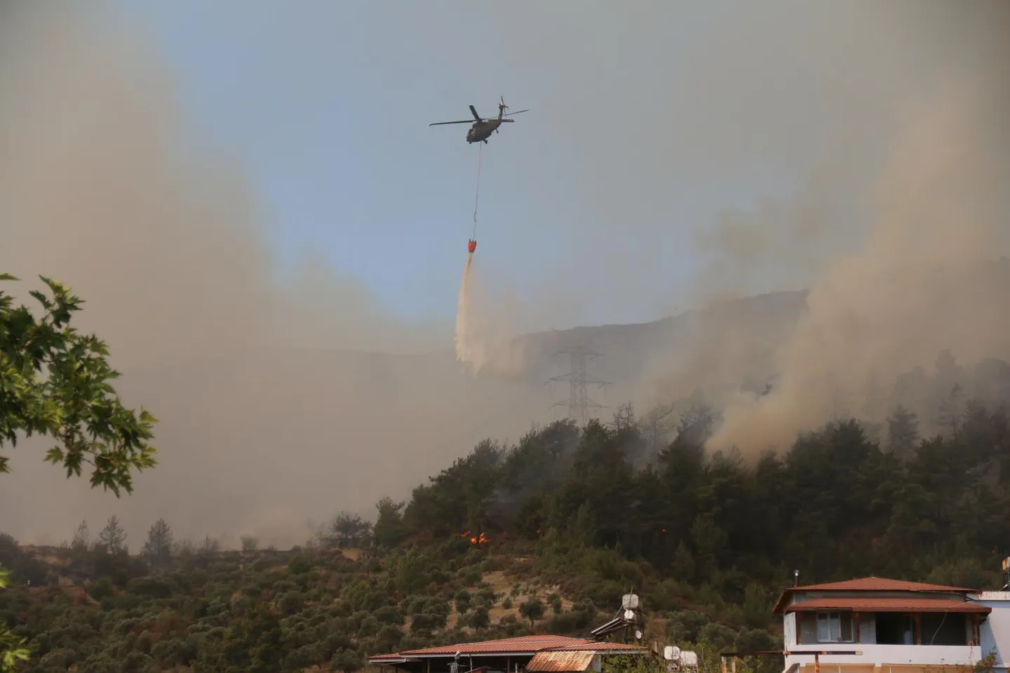 Продолжува борбата со пожарите на југ и запад од Туркије- 342 пожари од петок