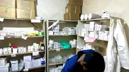 At least 14 million people globally could die by 2030 due to US aid cuts: study