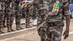 Mali army thwarts seven insurgent attacks, kills at least 80 terrorists