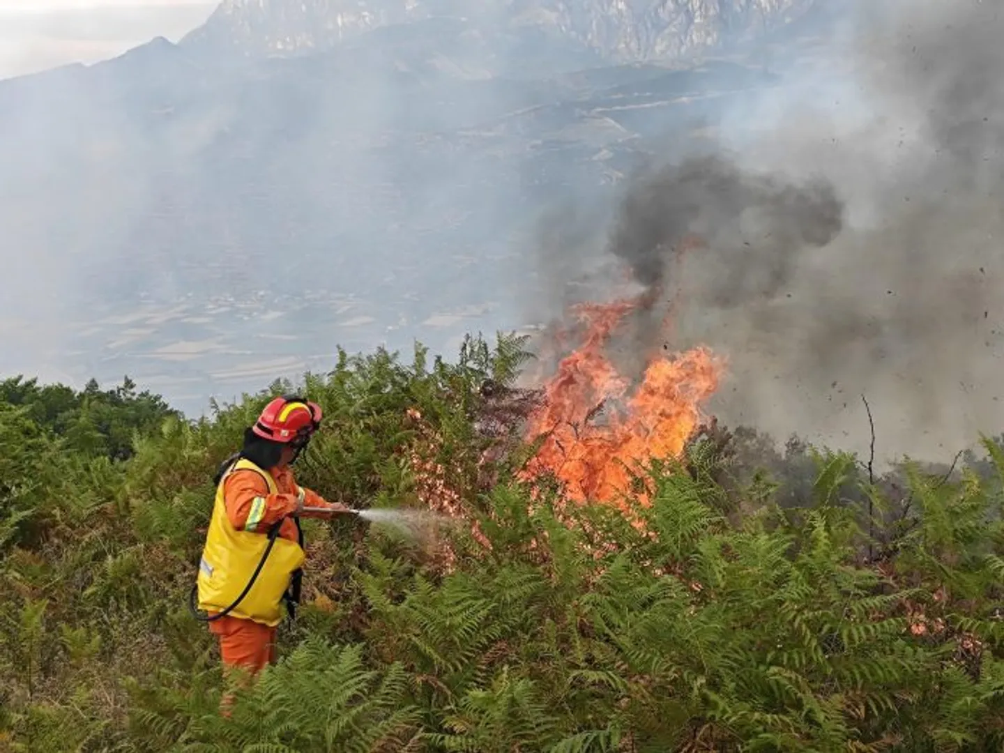 Shqipëri, 3 vatra zjarri  nga 18 të raportuara gjatë 24 orëve të fundit janë aktive