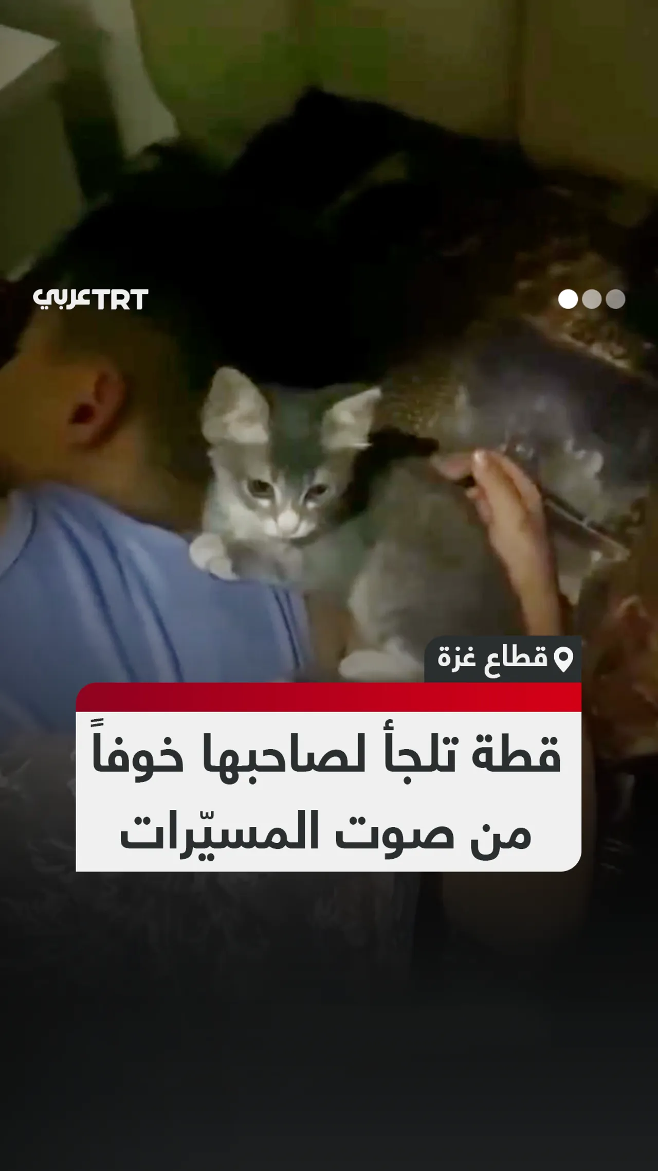 قطة صغيرة تلتمس الأمان بجوار صاحبها هرباً من طنين مسيّرات الاحتلال التي لا تهدأ