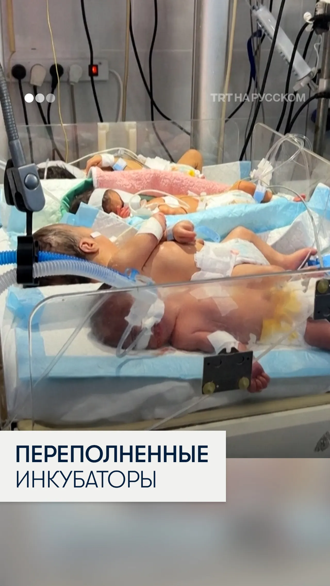 В Газе новорожденных кладут по трое в инкубаторы из-за нехватки топлива и электричества