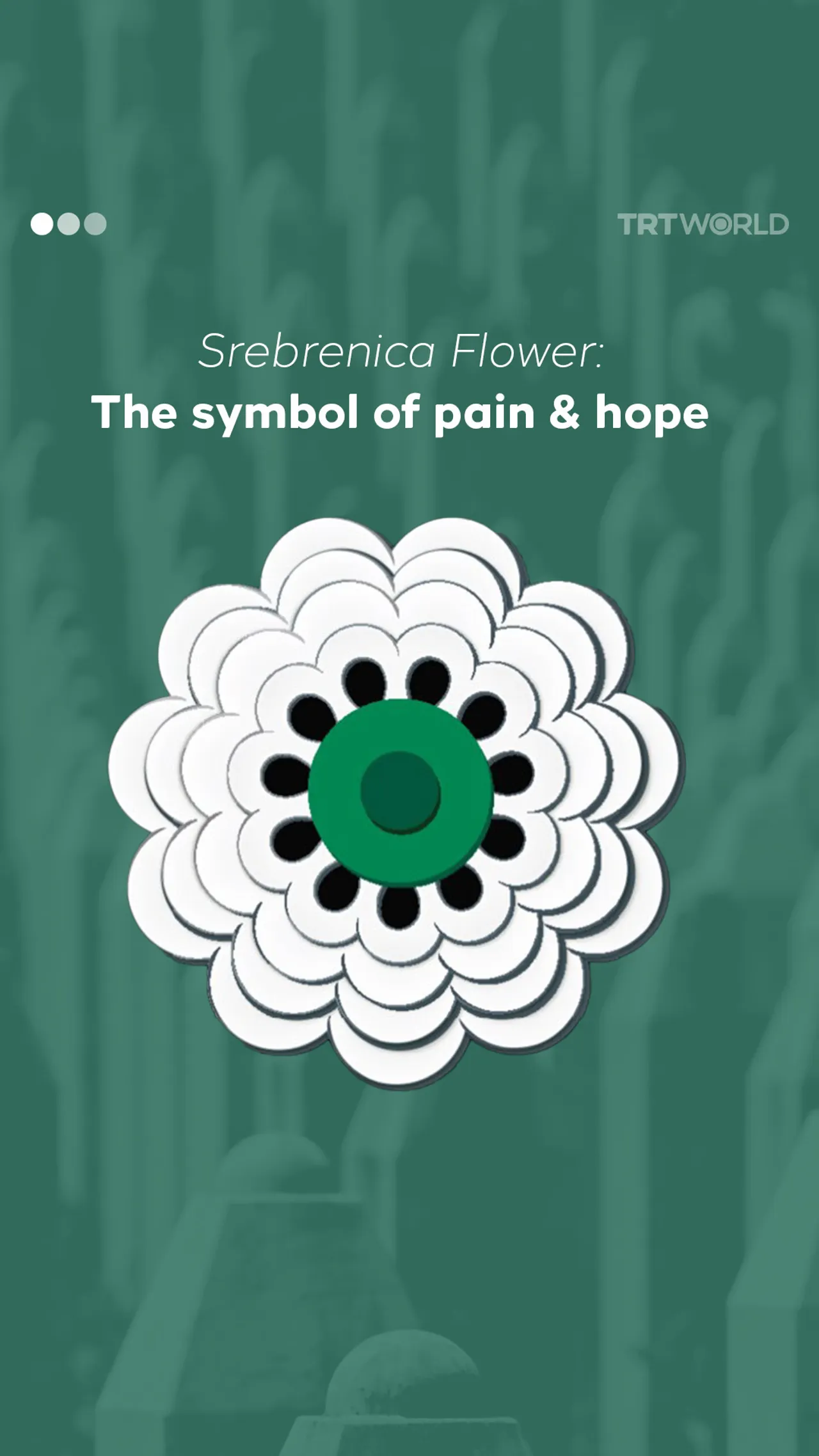 Srebrenica Flower: The symbol of pain & hope