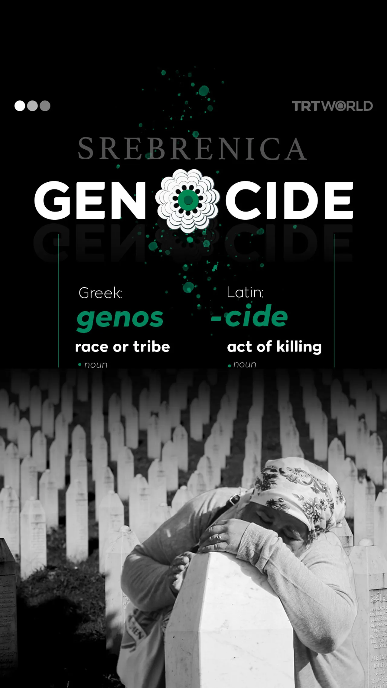 From words to violence: Srebrenica Genocide