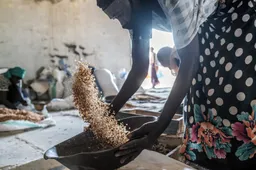 More than 40,000 children suffering 'acute malnutrition' in Sudan's North Darfur state