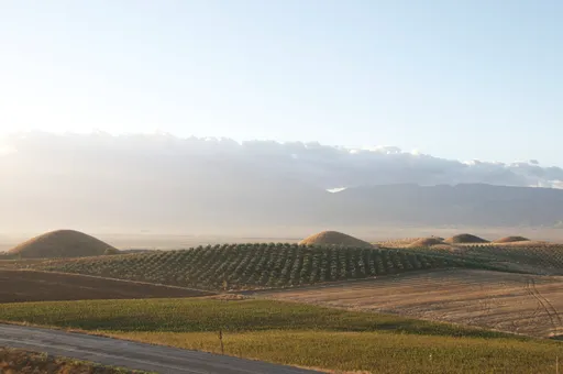 Antigua ciudad de Sardis y túmulos lidios de Bin Tepe, en Türkiye, son declarados Patrimonio Mundial