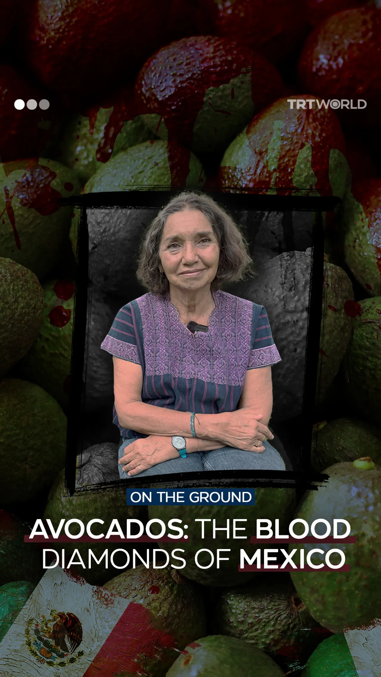 ‘Blood avocados’: What supermarkets won’t tell you