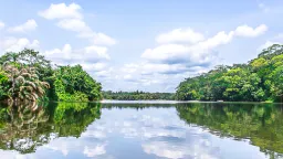 Sierra Leone's Tiwai Island added to UNESCO's World Heritage list