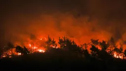 Wildfires continue to spread in southwestern Libya