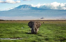 Kikao cha mawaziri wa mazingira barani Afrika AMNCEN, chang'oa nanga jijini Nairobi