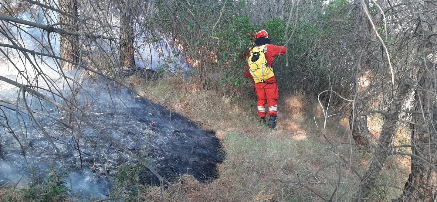 Shqipëri, 20 vatra zjarri në 24 orët e fundit, 3 janë ende aktive