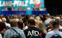 Umfrage: 68 Prozent rechnen 2026 mit AfD-Ministerpräsident