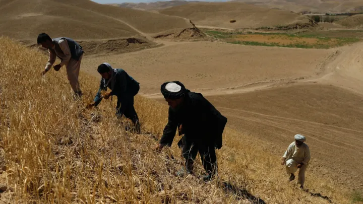 بحران اقلیمی، زنگ خطر جدی برای کشاورزی افغانستان