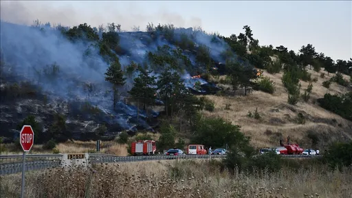 Прва регионална конференција за заштита од пожари во Скопје: Заеднички напори за поголема безбедност