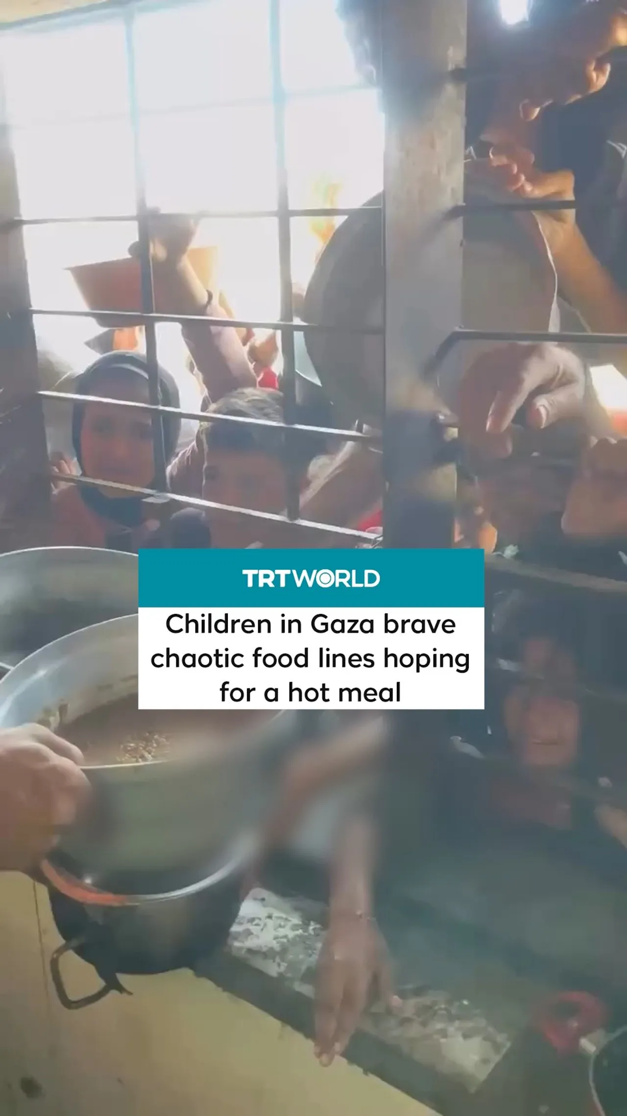 Chaos at Gaza food lines leaves children hurt