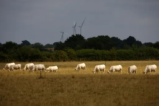 Door stikstof wiskundig te elimineren, houdt Vlaanderen zijn bedrijfsactiviteiten in stand