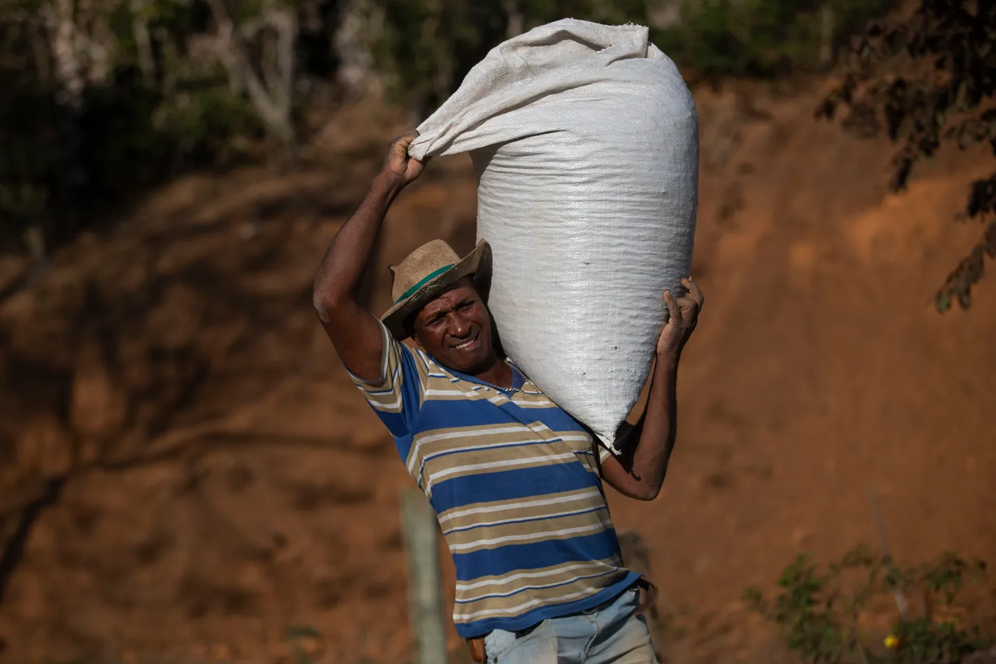 Why Congolese farmers are swapping coffee for cocoa